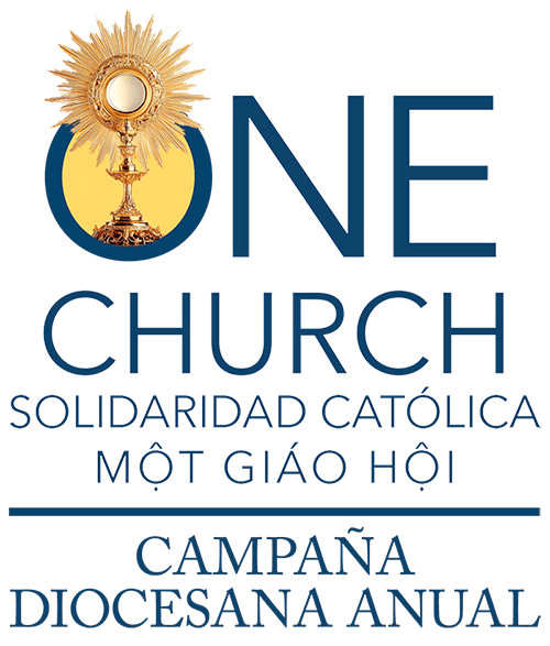Campana Diocesana Anual